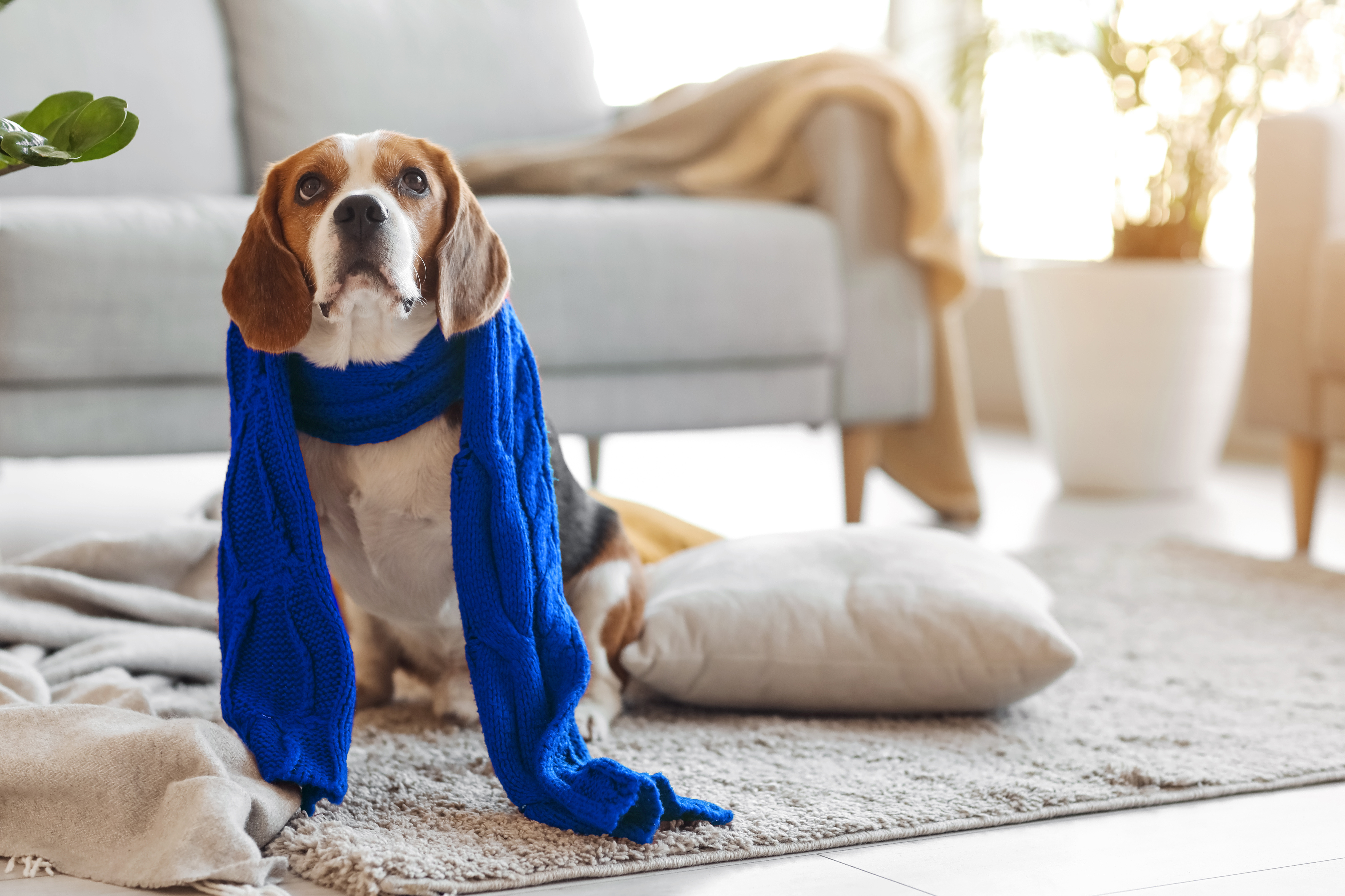 Hero image showing a family enjoying time together outdoors